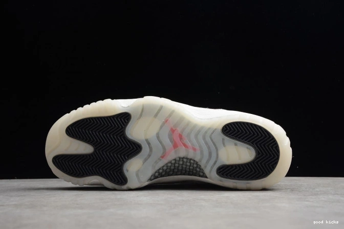Rep Jordan Low SE Bone Snake CD6846-002 Light 11 Air 0730